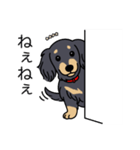 名前入りダックスロングブラックイエロー（個別スタンプ：12）