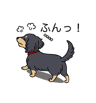 名前入りダックスロングブラックイエロー（個別スタンプ：14）