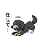 名前入りダックスロングブラックイエロー（個別スタンプ：15）
