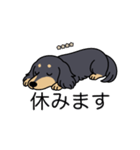 名前入りダックスロングブラックイエロー（個別スタンプ：16）