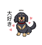 名前入りダックスロングブラックイエロー（個別スタンプ：18）