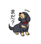 名前入りダックスロングブラックイエロー（個別スタンプ：20）