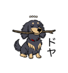 名前入りダックスロングブラックイエロー（個別スタンプ：21）