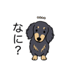 名前入りダックスロングブラックイエロー（個別スタンプ：22）