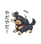 名前入りダックスロングブラックイエロー（個別スタンプ：23）