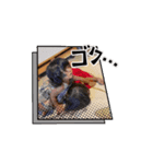 伊藤家のひ孫（個別スタンプ：6）