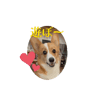 tomahima（個別スタンプ：2）