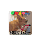 tomahima（個別スタンプ：6）