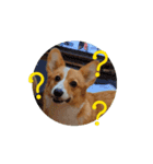 tomahima（個別スタンプ：8）