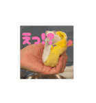 ぽんこつハムスター（個別スタンプ：1）