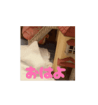 ぽんこつハムスター（個別スタンプ：3）