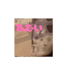 ぽんこつハムスター（個別スタンプ：14）
