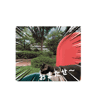 ハチコ多め（個別スタンプ：2）