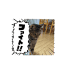 ハチコ多め（個別スタンプ：3）