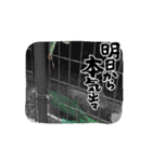 ハチコ多め（個別スタンプ：4）