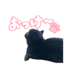 リアルロワの日常LINEスタンプ（個別スタンプ：7）