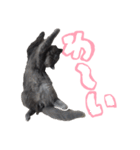 リアルロワの日常LINEスタンプ（個別スタンプ：11）