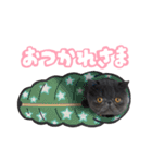 リアルロワの日常LINEスタンプ（個別スタンプ：17）
