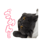 リアルロワの日常LINEスタンプ（個別スタンプ：21）