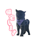 リアルロワの日常LINEスタンプ（個別スタンプ：23）