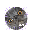 リアルロワの日常LINEスタンプ（個別スタンプ：26）