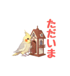 オカメインコ 日常・一年中使えるスタンプ（個別スタンプ：4）