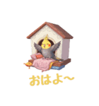 オカメインコ 日常・一年中使えるスタンプ（個別スタンプ：6）