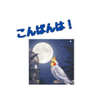 オカメインコ 日常・一年中使えるスタンプ（個別スタンプ：7）