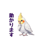 オカメインコ 日常・一年中使えるスタンプ（個別スタンプ：10）