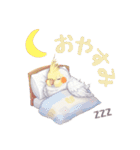 オカメインコ 日常・一年中使えるスタンプ（個別スタンプ：19）