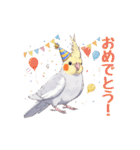 オカメインコ 日常・一年中使えるスタンプ（個別スタンプ：20）