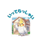 オカメインコ 日常・一年中使えるスタンプ（個別スタンプ：25）