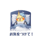 オカメインコ 日常・一年中使えるスタンプ（個別スタンプ：33）