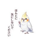 オカメインコ 日常・一年中使えるスタンプ（個別スタンプ：39）