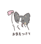 パピヨンのスタンプ② 敬語編 トライカラー（個別スタンプ：17）
