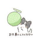 パピヨンのスタンプ② 敬語編 トライカラー（個別スタンプ：21）