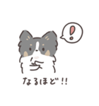 パピヨンのスタンプ② 敬語編 トライカラー（個別スタンプ：22）