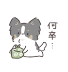 パピヨンのスタンプ② 敬語編 トライカラー（個別スタンプ：23）