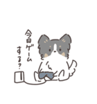 パピヨンのスタンプ② 敬語編 トライカラー（個別スタンプ：30）