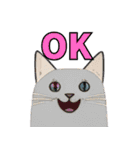 猫の日常 ありがとう他多数（個別スタンプ：1）
