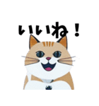 猫の日常 ありがとう他多数（個別スタンプ：4）
