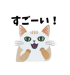 猫の日常 ありがとう他多数（個別スタンプ：7）