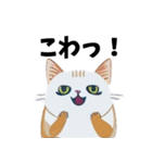 猫の日常 ありがとう他多数（個別スタンプ：8）