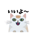 猫の日常 ありがとう他多数（個別スタンプ：11）