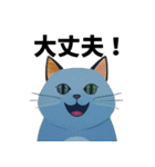猫の日常 ありがとう他多数（個別スタンプ：12）