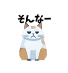 猫の日常 ありがとう他多数（個別スタンプ：35）