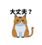 猫の日常 ありがとう他多数（個別スタンプ：36）
