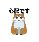 猫の日常 ありがとう他多数（個別スタンプ：37）
