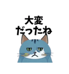 猫の日常 ありがとう他多数（個別スタンプ：38）