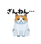 猫の日常 ありがとう他多数（個別スタンプ：40）